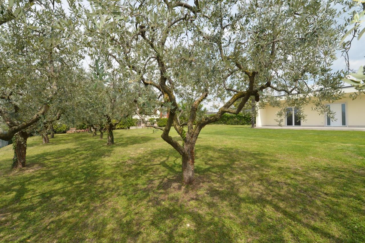 Albergo Panoramica Μπαρντολίνο Εξωτερικό φωτογραφία