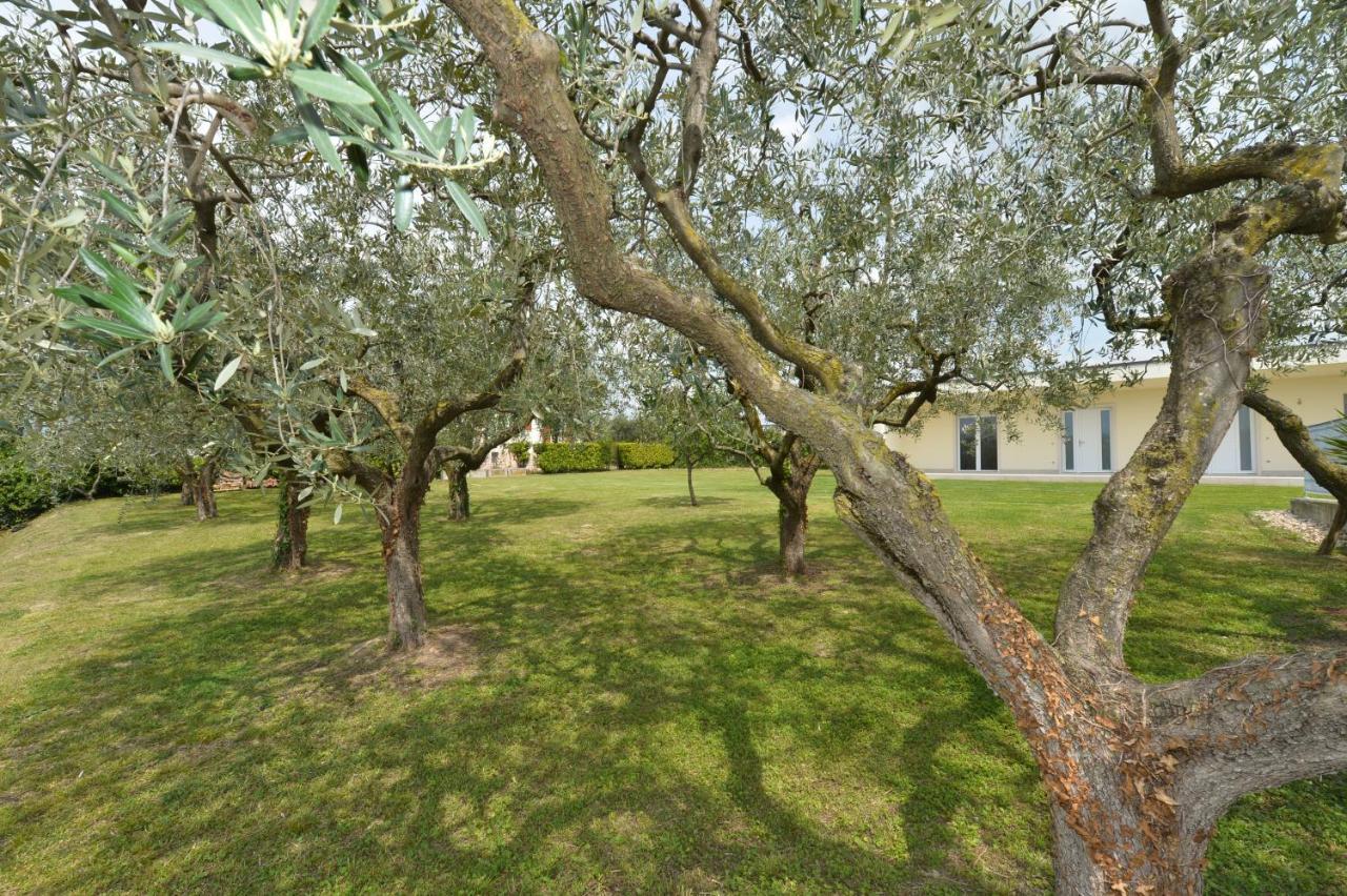 Albergo Panoramica Μπαρντολίνο Εξωτερικό φωτογραφία